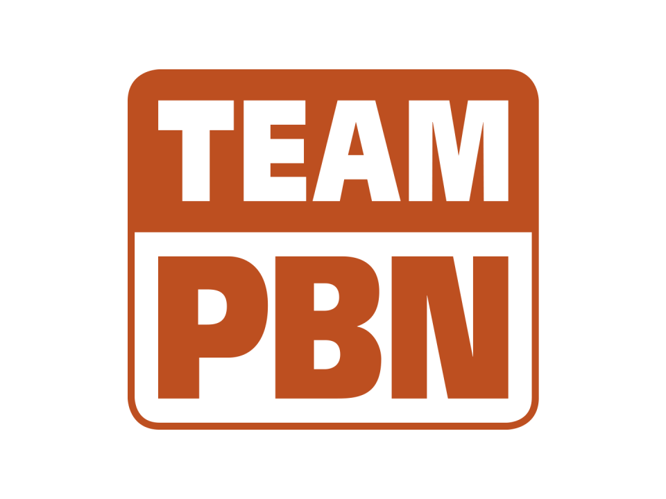 Pbn ссылки. PBN. PBN сетка. Логотип PBN. Что такое сайты PBN.